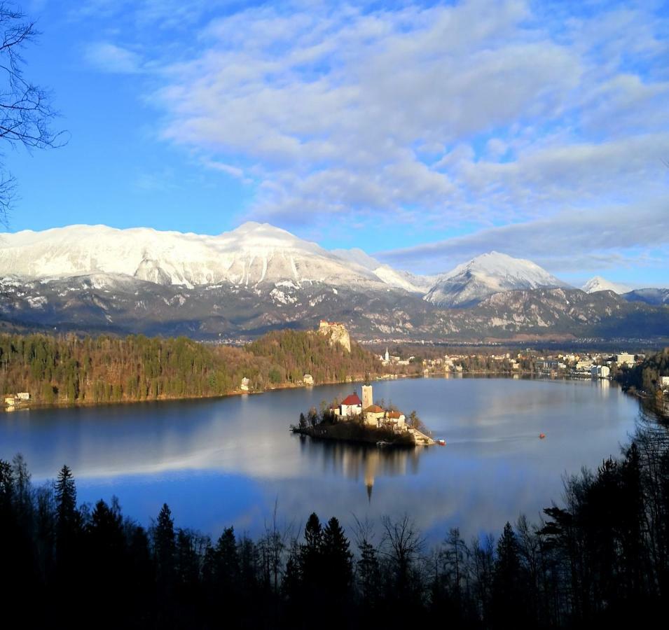 The Jungle Apartments And Rooms Bled Esterno foto